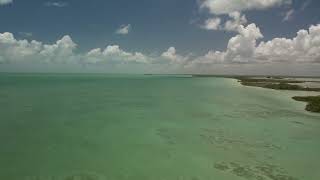 For Sale  4 acres on island near Sarteneja Belize [upl. by Ytitsahc]