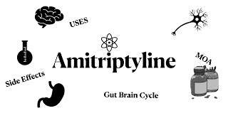 Amitriptyline  TCA  Antidepressants  Mechanism  Uses  Side Effects   Imipramine [upl. by Rollie]