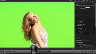 Hawaiki Keyer for FCP Premiere Pro After Effects amp Motion Extended Tutorial [upl. by Lledroc]