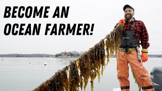 How to Start An Ocean Farm StepbyStep [upl. by Pyle102]