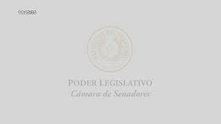 Sesión Extraordinaria de la Cámara de Senadores  24042024 [upl. by Alanah]