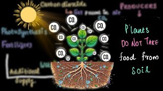 Plant Nutrition  Introduction  Middle School Science  Khan Academy [upl. by Fitzsimmons]