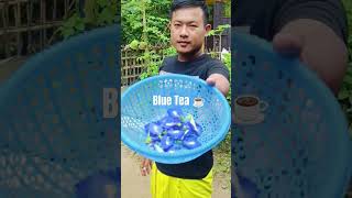 BLUE TEA Butterfly Pea Tea [upl. by Atiruam2]