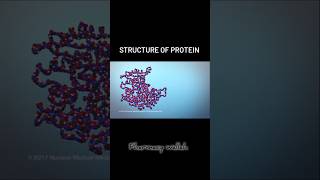 Structure Of Protein 🗣️   pharmacy shoerts [upl. by Yerfej]