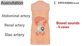 quotAbdoAbbyquot Abdominal Examination Simulator [upl. by Batchelor286]