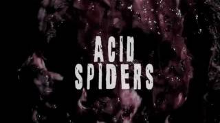 ACID SPIDERS Preview [upl. by Anyer115]