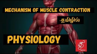 MECHANISM OF MUSCLE CONTRACTION IN TAMILPHYSIOLOGY [upl. by Eecyal]