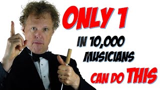 Only 1 in 10000 musicians can do this  The Rainer Hersch Orkestra [upl. by Korwin168]