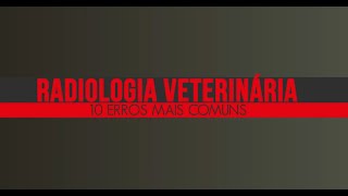 Os 10 erros mais comuns no Raio X veterinário [upl. by Moise]