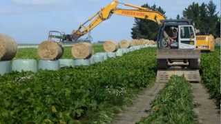 Unloading straw with the rolex [upl. by Mcilroy]