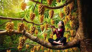 Harvesting Langsat Fruit amp Goes To Market Sell  Gardening And Cooking  Lý Tiểu Vân [upl. by Issie]