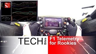 F1 Telemetry for Rookies  Sauber F1 Team [upl. by Miguel]