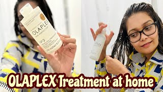 OLAPLEX treatment at Home  Damaged Hair Repair at Home [upl. by Dlorrej]