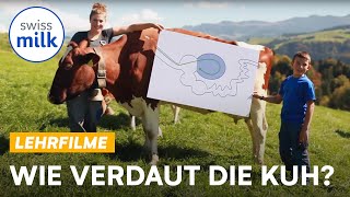 Vom Grasbüschel zum Kuhfladen Wie verdaut die Kuh  Lehrfilm  Swissmilk 2017 [upl. by Epilef103]