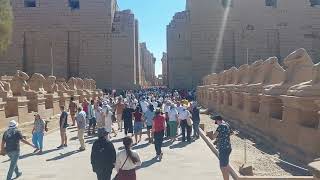 Rams RoadSphinx Street – Avenue of Sphinxes in Karnak Temple Luxor ancient Egypt [upl. by Sadnalor]