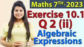 Q 2 ii Ex 101  Algebraic Expressions  Chapter 10  Maths Class 7th  NCERT [upl. by Fantasia]