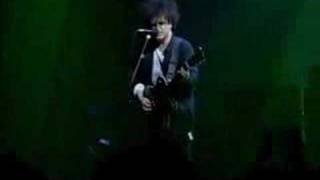 The Cure  a forest live [upl. by Yrahk]