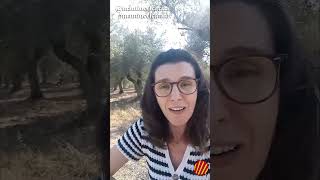 Elisenda Pineda  Mantinc el català [upl. by Dreher]