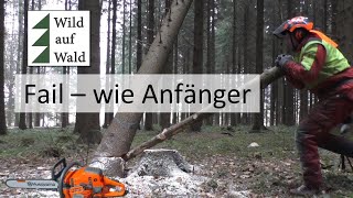 🌲Baum fällen Peinlich wenn das passiert 10000 Abo Spezial [upl. by Anyr]