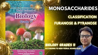 Monosaccharides  Aldo amp Keto Sugars  Furanose amp Pyranose Sugars  Grade 11 Biology  Federal KPK [upl. by Htebasil673]