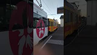 basel bahnhof blt E11TRAM 1600 Basel Dreispitz 29112024 BasellandTransport [upl. by Ashraf]