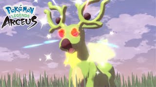 The Hype Is Real Shiny Alpha Stantler  Pokémon Legends Arceus [upl. by Alicsirp]