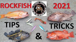 Bodega Bay Rockfish Opener 2021  Tips amp Tricks from PITBULL TACKLE PROS [upl. by Nahraf]