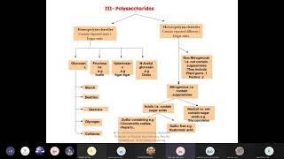 Polysaccharides chemistry [upl. by Elliven306]