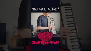 MAD RAT ALIVE？  MAD RAT DEAD 鍵盤ハーモニカ shorts マッドラットデッド 日本一ソフトウェア [upl. by Eliseo593]