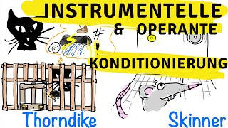 Instrumentelle amp operante Konditionierung  Skinner Thorndike und der Behaviorismus [upl. by Gnut]