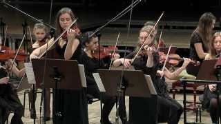 Bach – Double Violin Concerto in D minor BWV 1043  Tomasz Chmiel amp The Young Cracow Philharmonic [upl. by Niad]