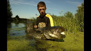 Sumčí léto 2017  Jakub Holubec silurus glanis catfishing czech republic [upl. by Sherris836]