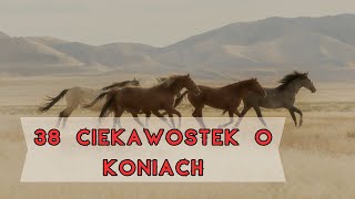 Ciekawostki o KONIACH  38 faktów których prawdopodobnie NIE WIESZ 🐎 [upl. by Ayahs]