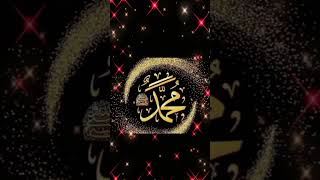 Kalama muhhamad ka parta rahugailoveprophetmuhammadﷺ islamicprophet answer allahrasool duet [upl. by Lairbag356]