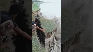 Karnali river cutting floodriver cute karnalishorts [upl. by Saticilef216]