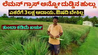 ಸೂಪರ್ ಆದಾಯ ಲೆಮನ್ ಗ್ರಾಸ್ ಅನ್ನೋ ದುಡ್ಡಿನ ಹುಲ್ಲು  Lemon Grass Farming in Karnataka  krushi Kannad [upl. by Ntsuj]