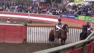 Romario y Caballero campeones rodeo criadores P Hurtado [upl. by Koah]