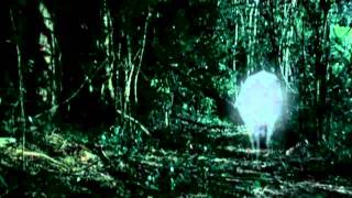 Tropical Malady  Apichatpong Weerasethakul [upl. by Arraes]