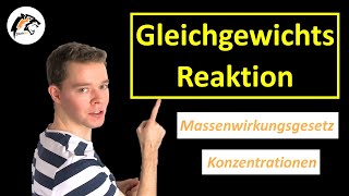 Chemisches Gleichgewicht Massenwirkungsgesetz  Chemie Tutorial [upl. by Inacana]