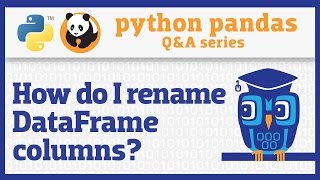 How do I rename columns in a pandas DataFrame [upl. by Ardnoik]