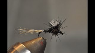 Noir Mayfly [upl. by Ecinrev645]