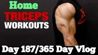 Day 187 365 Home Triceps WorkoutBest Triceps Workouttriceps [upl. by Bang433]