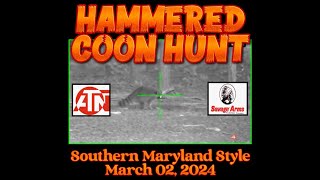 COON HUNTING COON HAMMERED ATN COONHUNTING NIGHTVISION [upl. by Eniluqaj665]