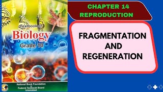 Fragmentation and Regeneration Class 10 Biology Federal Board NBF Chapter 14 Reproduction [upl. by Burnaby]