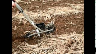 Using push seeders for notill seeding after forage radish cover crop [upl. by Eyak866]