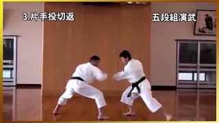 5 Dan kumiembu Shorinji Kempo Demonstrations techniques goho juho 少林寺拳法 [upl. by Aderfla]