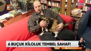 65 Kiloluk Kedi FERİDE  Sahafta Bir Hayat [upl. by Odlareg]