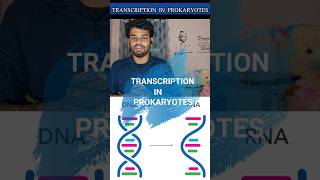 Transcriptionprokaryotestamilnotesrna synthesisprocessdiagramgene expressioncsir netDna [upl. by Veta385]