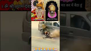 Jai shree shyam  khatu shyam status shyam baba whatsapp status khatu shyam bhajan shyam shotrs [upl. by Niras950]