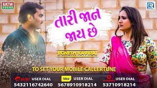 Jignesh Kaviraj  New Sad Song  Tari Jaan Jaay Chhe  Full Audio  RDC Gujarati [upl. by Huber]